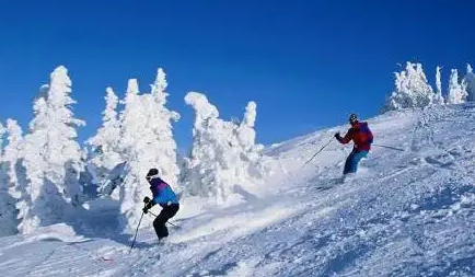 上海團(tuán)建